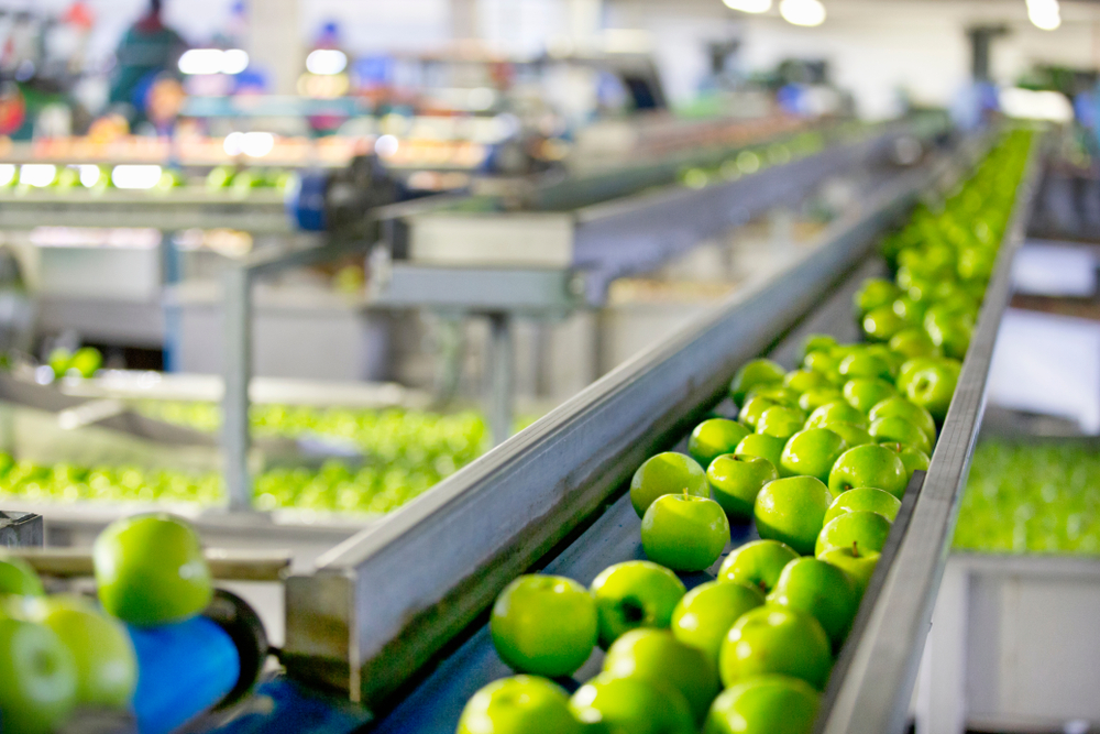 Improving Food Production with Conveyors