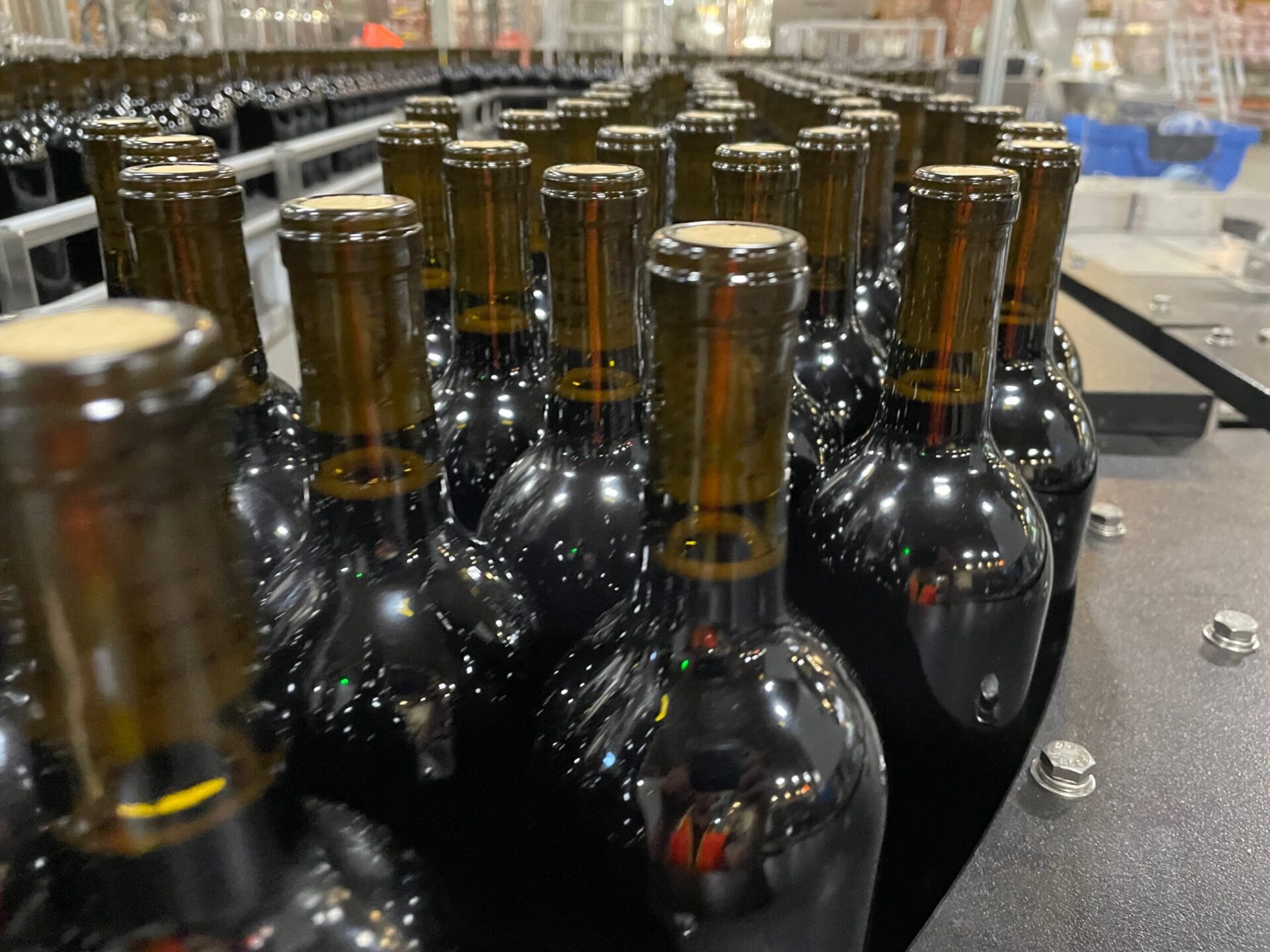 close up of wine bottles on a conveyor