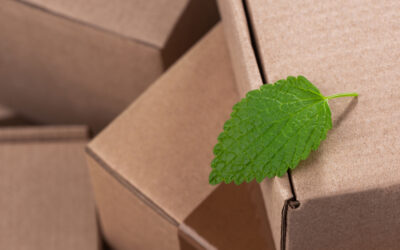 The Future Outlook for the Packaging Industry