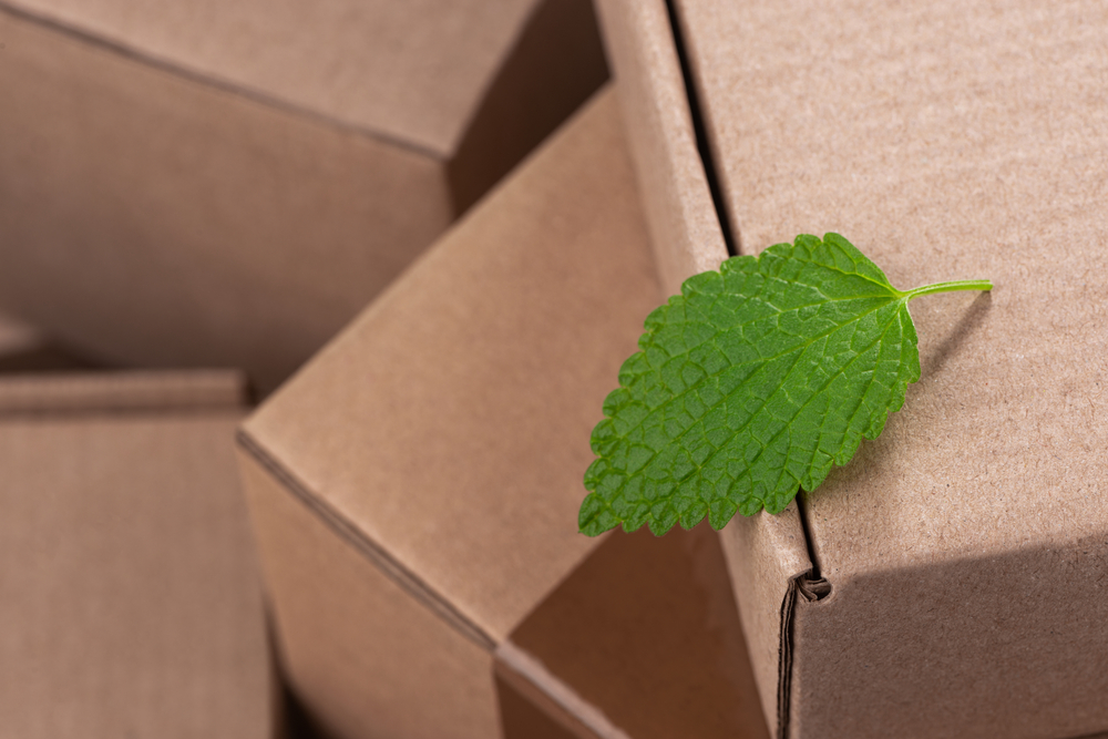 The Future Outlook for the Packaging Industry